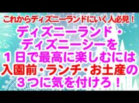 ディズニーでの泣ける話 シンデレラ城ミステリーツアーで余命少ない少年が体験した感動ストーリー ディズニー研修セミナー Com